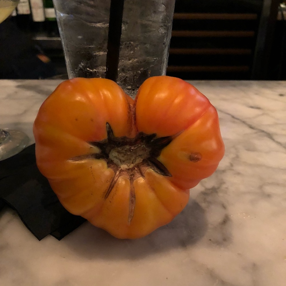 Meet your Posher, Patrick